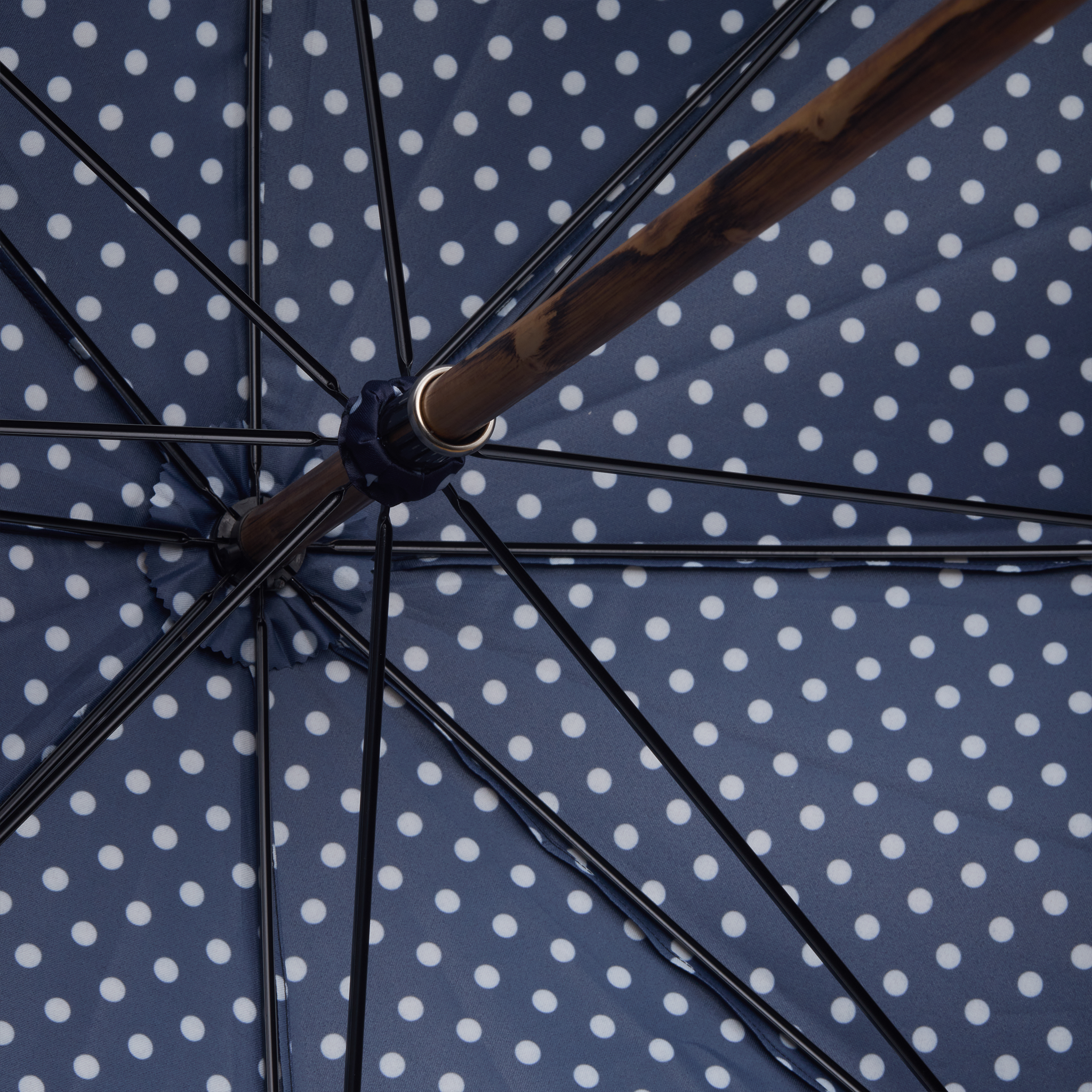 Bleu & Blanc - Pois