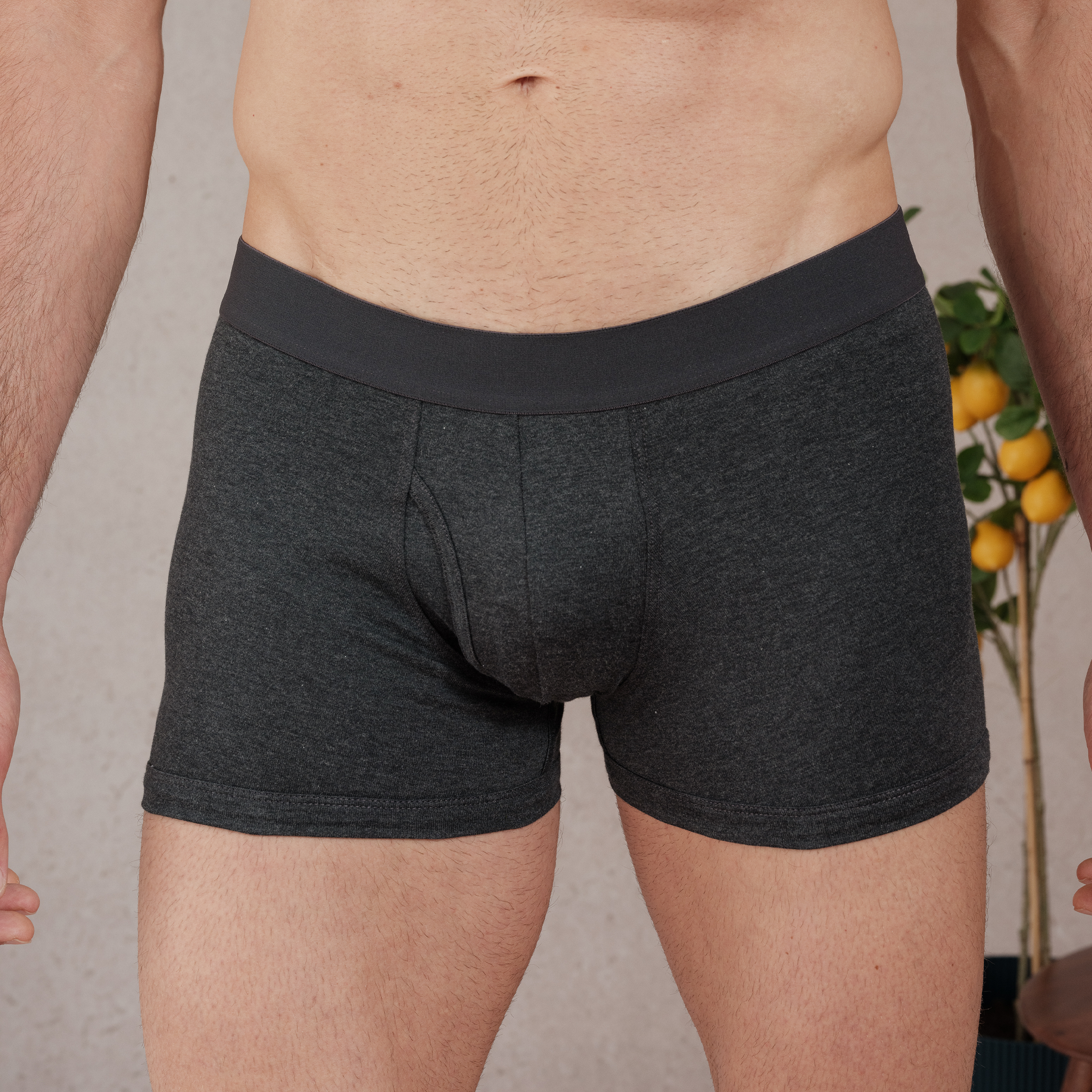 Boxer - Grau - Biologische Baumwolle