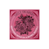 Savon de rasage Rose 80g