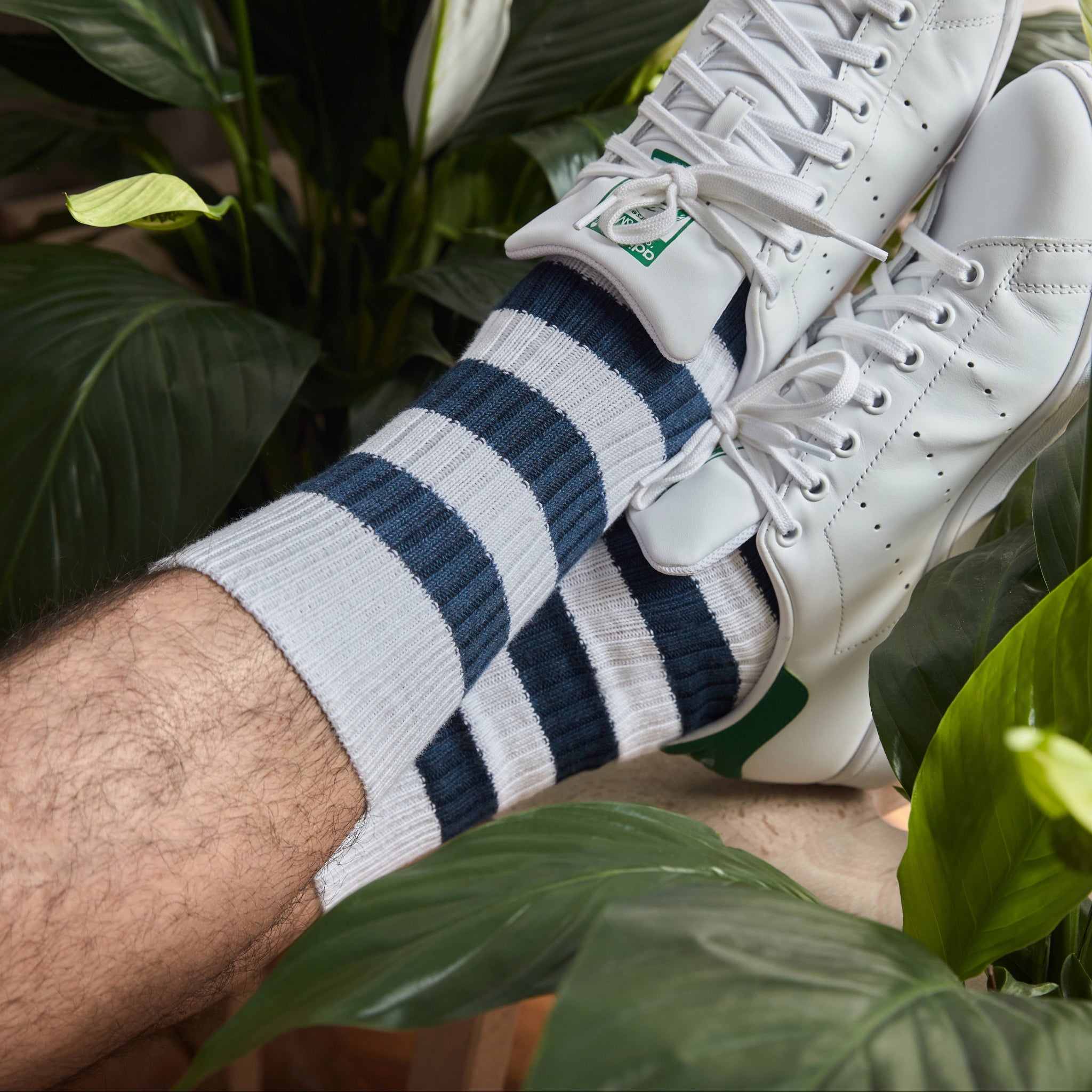 Blanc & Bleu - Ivy - Coton
